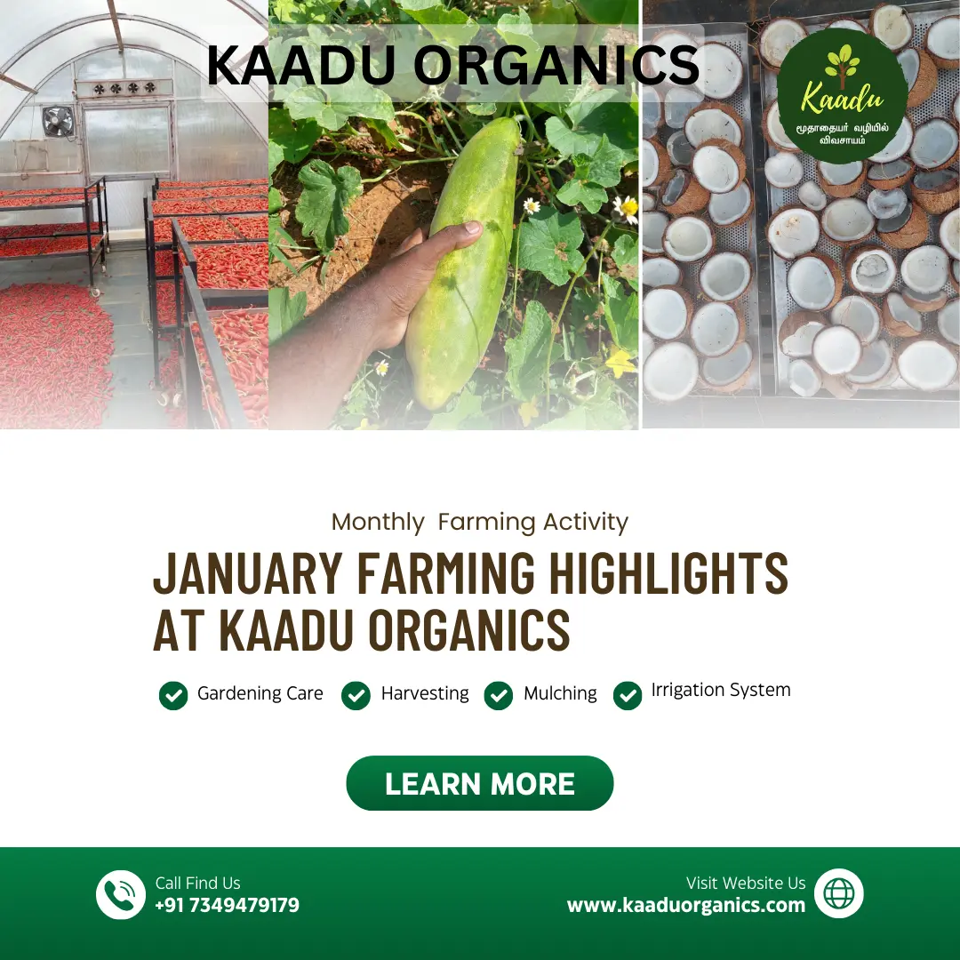 Kaadu Organics Farming activities