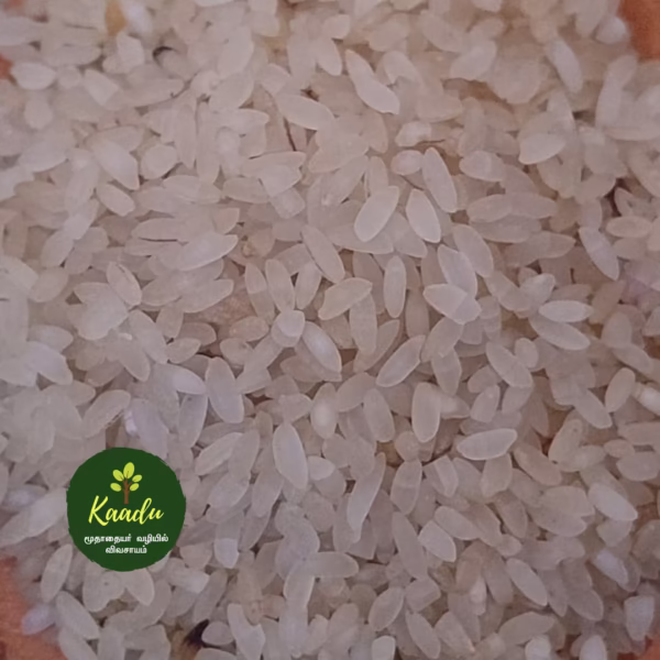 Seeraga samba Boiled rice