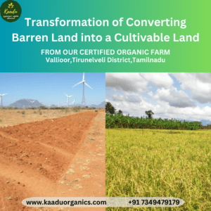 Kaadu Organics_Transformation of converting Barren land into cultivable land