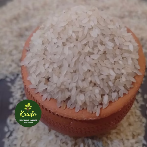 Seeraga samba Boiled rice kept in a mud pot