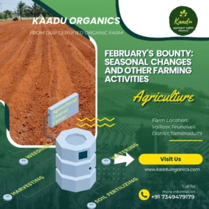 Feb month Farm Activities