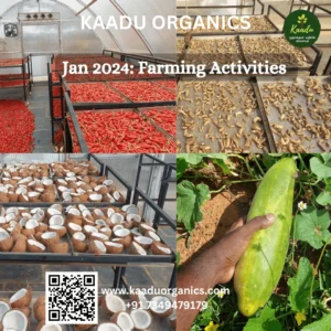 Jan Month farm activities