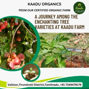 Kaadu Farm Tree Varieties