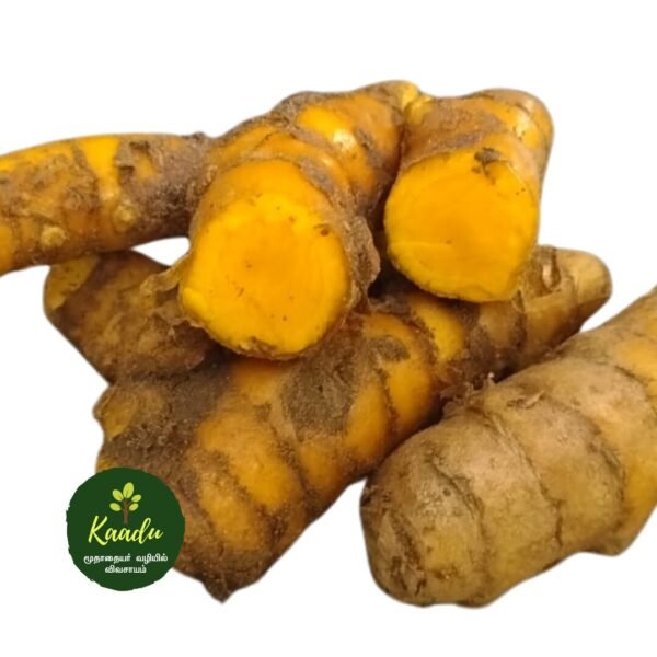 lakadong turmeric from our own organic certified farm