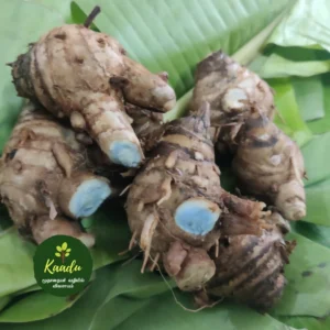 raw black turmeric from our certified farm