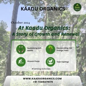 Image of October month Kaadu farming activities