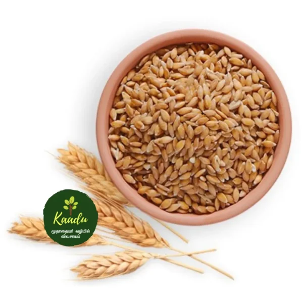 wheat kept in a bowl