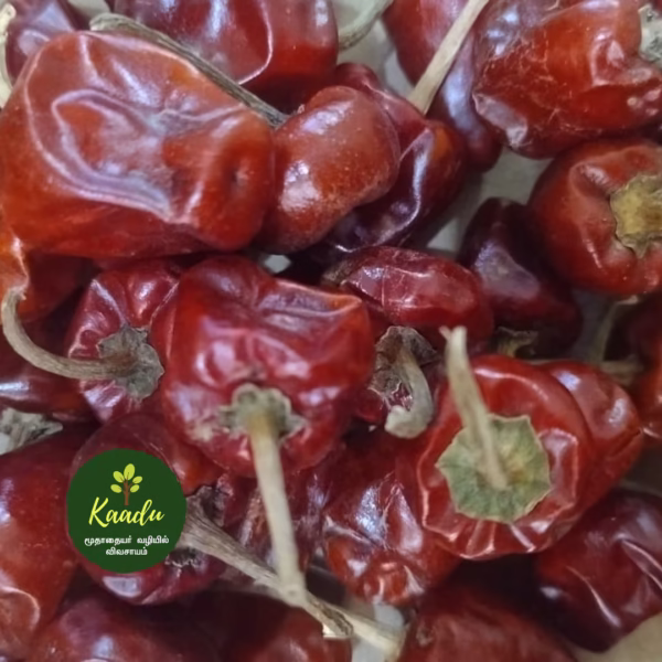 kaadu gundu milagai or dried red chillies